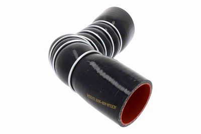 FURTUN EAR SUPRAALIMENTARE ACKOJA A389603 5