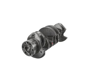 ARBORE COTIT ET ENGINETEAM HK0228 25