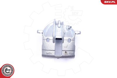 Brake Caliper 42SKV781