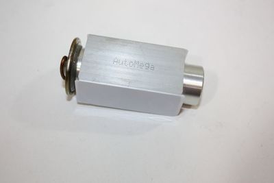Расширительный клапан, кондиционер AUTOMEGA 160064110 для FORD ESCORT