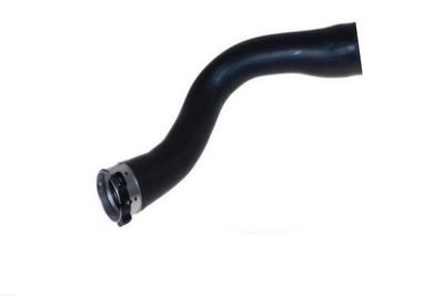 FURTUN EAR SUPRAALIMENTARE AUTOMEGA 160094610 1