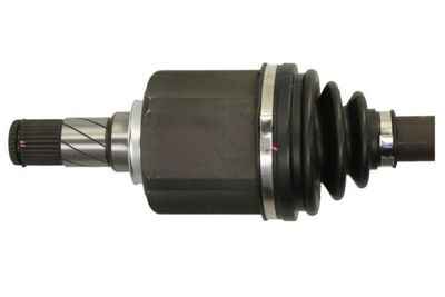 Planetara PASCAL G2R137PC