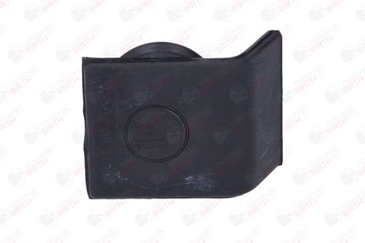 BUSON UMPLERE ULEI BIRTH 8176 1