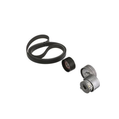 SET CUREA TRANSMISIE CU CANELURI GATES K036PK1795 40