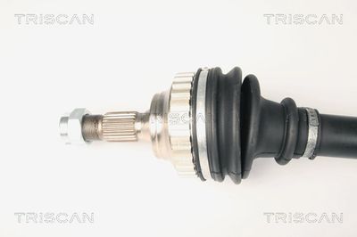 PLANETARA TRISCAN 854028558 1