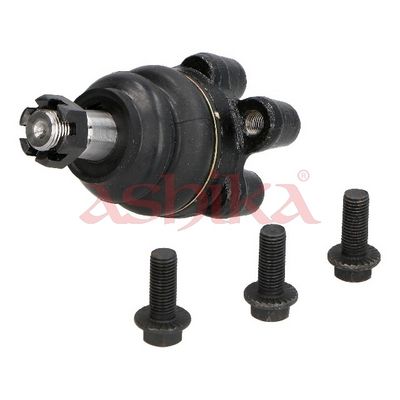 Šarnyras / girgždukas