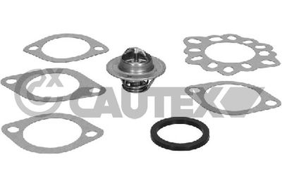 CAUTEX 775902 Термостат для FORD FIESTA Автофургон / микроавтобус (F3L, F5L) 1.3 CAUTEX 775902 Термостат для FORD FIESTA Автофургон / микроавтобус (F3L, F5L) 1.3