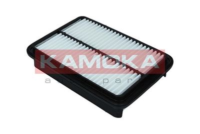 Air Filter F249001