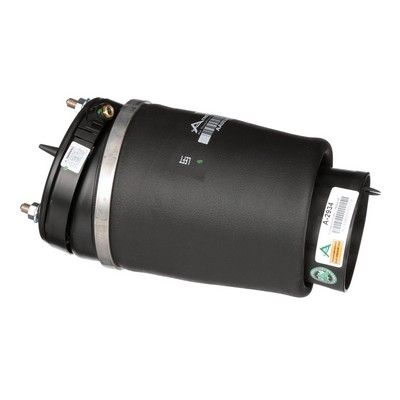 LUFTFEDER FAHRWERK Arnott A2934 29