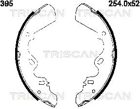 TRISCAN 8100 60395 Гальмівні колодки барабанні 