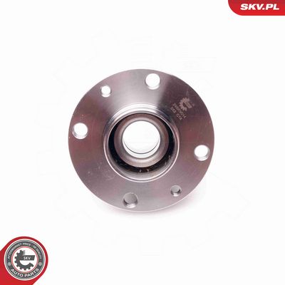 SET RULMENT ROATA ESEN SKV 29SKV014 3