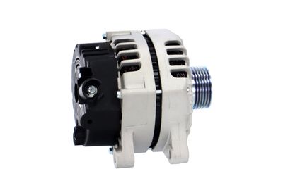 GENERATOR / ALTERNATOR REMANTE 011003000009R 41