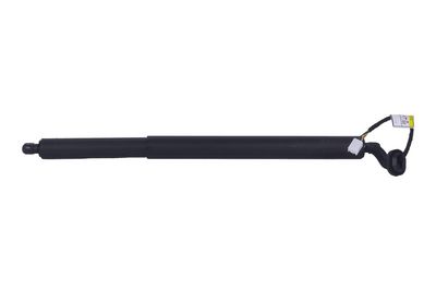 Galinių durų elektros variklis