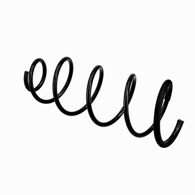 ARC SPIRAL EIBACH R10092 21