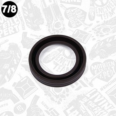 SET GARNITURI CHIULASA ET ENGINETEAM TS0049 8