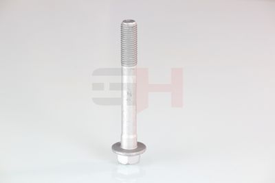 SURUB CAPAT DE AX GH GH391580 14