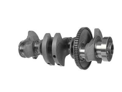 ARBORE COTIT ET ENGINETEAM HK0216 8