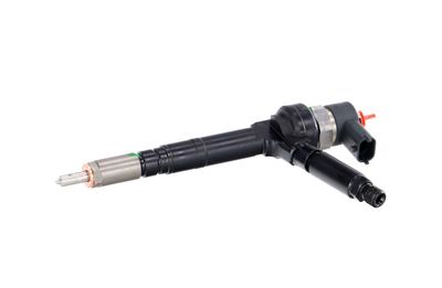 INJECTOR REMANTE 002003001094R 8