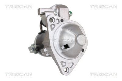 Starter TRISCAN 8305 42002