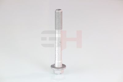 SURUB CAPAT DE AX GH GH391580 19