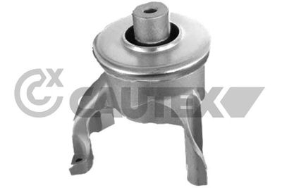 CAUTEX 770264 Подушка двигателя для VW MULTIVAN