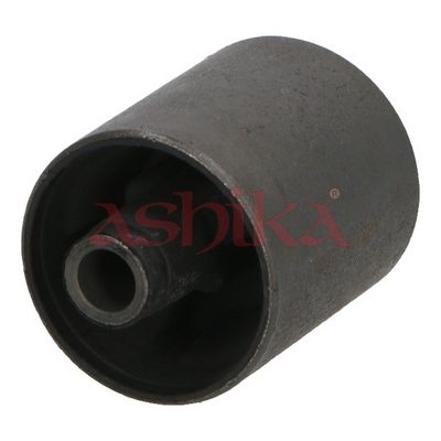 ASHIKA Variklio montavimas