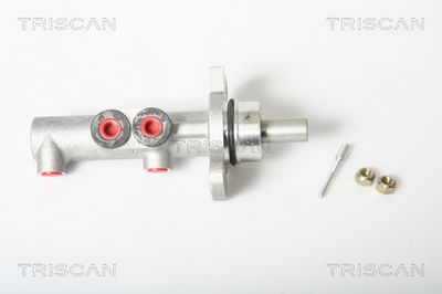 Главный тормозной цилиндр TRISCAN 8130 38110 для CITROËN C3