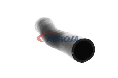 FURTUN EAR SUPRAALIMENTARE ACKOJA A529600 44