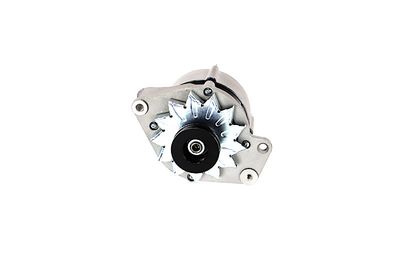 GENERATOR / ALTERNATOR REMANTE 011003000469R 59