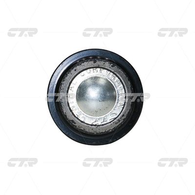 Kogelgewricht van de as Links/Rechts (bodem voor) (diameter kegel 48mm, met een moer)