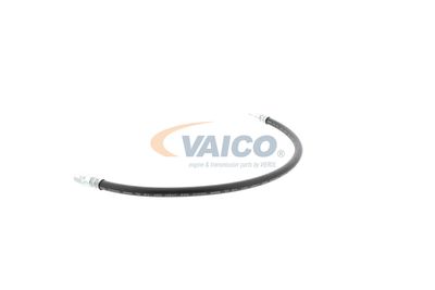 FURTUN FRANA VAICO V309926 29