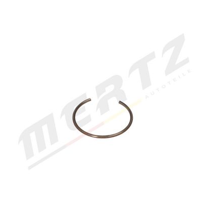 Шарнир независимой подвески / поворотного рычага M-S2052