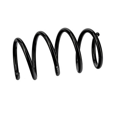 ARC SPIRAL EIBACH R13939 6