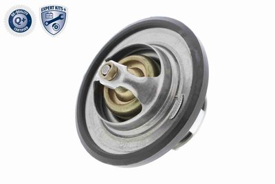 TERMOSTAT LICHID RACIRE VEMO V25991723 5