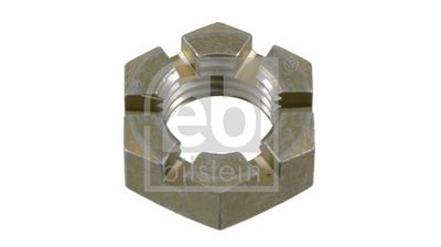 PIULITA CRENELATA FEBI BILSTEIN 01402