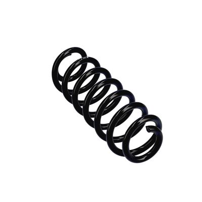 ARC SPIRAL EIBACH R23114 11