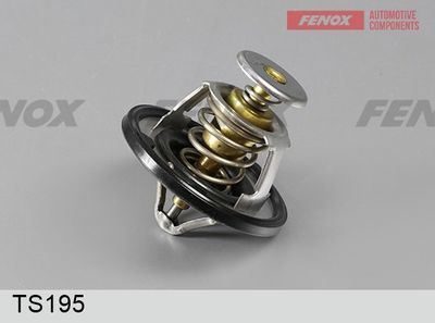 термостат, охладителна течност FENOX TS195