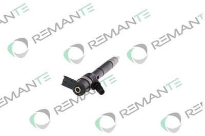 INJECTOR REMANTE 002003001738R 1