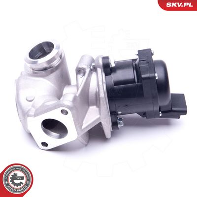 AGR-Ventil ESEN SKV 14SKV202