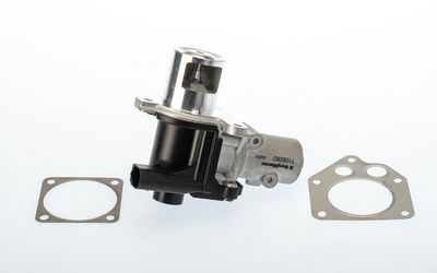 AGR-Ventil BorgWarner 710928D