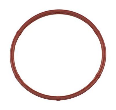 DICHTUNG ANSAUGKRüMMERGEHäUSE