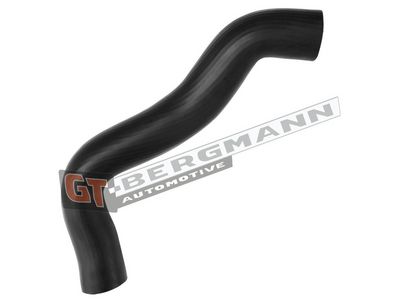 GT-BERGMANN Automotive Kompresoriaus padavimo žarna