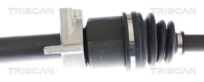 PLANETARA TRISCAN 854011602 2