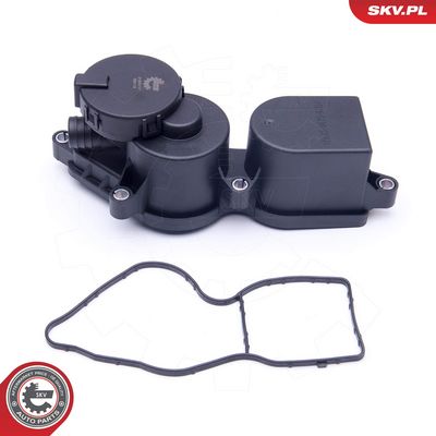 Alyvos atskyriklis, karterio alsuoklis