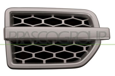 ZIER-/SCHUTZLEISTE KOTFLüGEL