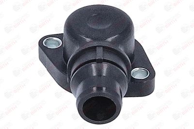 FLANSA LICHID RACIRE BIRTH 81108 2