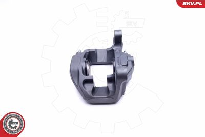 Brake Caliper 42SKV413