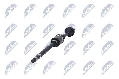 PLANETARA NTY NPWCT026 36