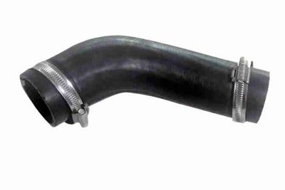 FURTUN EAR SUPRAALIMENTARE