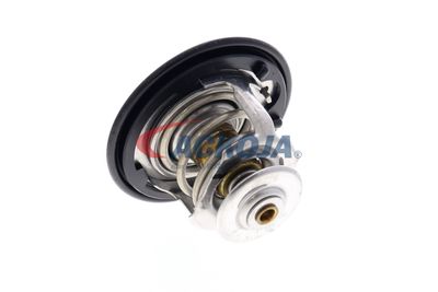 TERMOSTAT LICHID RACIRE ACKOJA A26990007 45